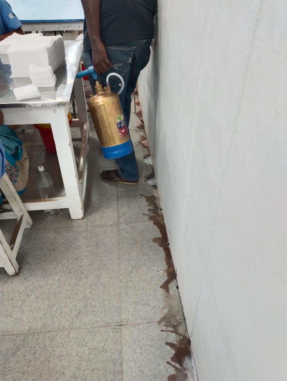 Pest Control Service